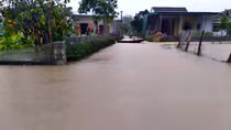 Chạy lũ