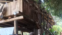 Chiều như lửa đốt lòng nhau