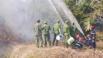 Chủ động phòng cháy rừng vào cao điểm mùa khô