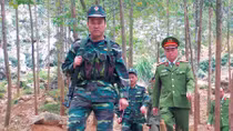 Đường tuần tra trong sắc xuân