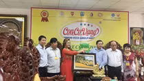 Phân bón hữu cơ bảo vệ môi trường, gia tăng giá trị nông sản