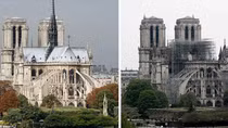 Những cây sồi "hoàng gia" với sứ mệnh Notre Dame