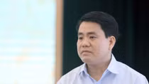 Chủ tịch Hà Nội: “Không thể trồng xà cừ cổ thụ trên các tuyến phố”
