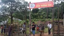 Gian nan cõng chữ lên non