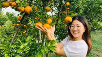 Đặc sản miền Tây Nam bộ giảm sản lượng vì COVID-19