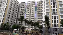 Cả năm mới có 163 căn nhà giá rẻ