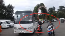 “Cò” đặc sản Đà Lạt quấy nhiễu du khách