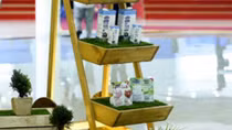 Vinamilk chiếm giữ hơn 85% thị phần sữa chua tại Việt Nam