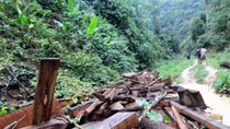 Nhiều khó khăn trong tuần tra, ngăn chặn nạn phá rừng