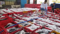Nâng cao năng lực để tiếp cận những ưu đãi từ thị trường EU