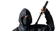 Ninjutsu: Huyền thoại các Ninja