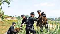 Cảnh sát Việt Nam - vẻ vang một chặng đường