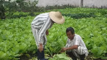 Chốn yên bình của người đàn ông từng 20 trốn trong rừng