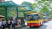 Hà Nội mở mới 30 tuyến buýt trợ giá năm 2020