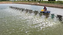 Đối thoại với người dân Quảng Nam trong vùng nuôi tôm tập trung