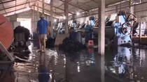 Mục sở thị các cơ sở giặt tẩy quần áo “đen”