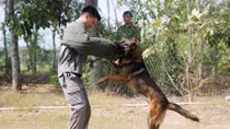 Chuyện về những “chiến sĩ đặc biệt”