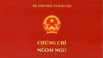 Thêm 6 trường đại học phải dừng cấp chứng chỉ tin học, ngoại ngữ