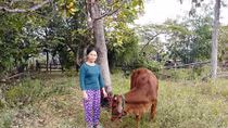  Trở lại vụ “ép” dân nghèo mua bò với giá quá cao