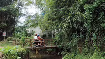 Cứu 2 con suối sau “cơn lốc” đô thị hóa 
