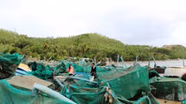 Nước mắt ở làng nghề nuôi trồng thủy sản sau bão dữ