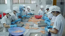 Nới khung thời gian làm thêm giờ: Đừng quên quyền lợi người lao động