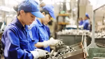 Doanh nghiệp siêu nhỏ được hỗ trợ 100% chi phí tư vấn pháp luật