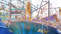 Công ty Đại Nguyên Dương từ chối bồi thường hơn 9 tỷ đồng cho ngư dân