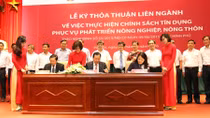 Hàng triệu hộ nông dân được vay vốn của Agribank phát triển sản xuất