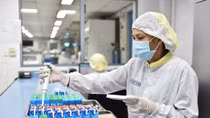 Dấu ấn 145 năm tạo nên dòng sữa chuẩn Hà Lan
