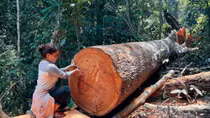 Những chuyến thâm nhập “vùng nóng” miền Tây Quảng Nam