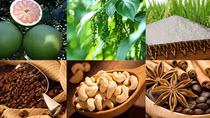 Nông sản Việt muốn bứt phá phải cải thiện khâu yếu nhất