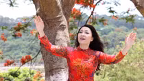 Hoa như mưa rơi rơi...