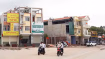 Vân Đồn thời sốt đất vì… cò