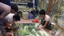 Đá quý thành tranh và chuyện những ông tổ nghề