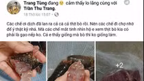 Tung tin dịch cá, bò nhiễm sán để bán hàng online