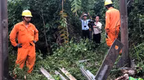 Bắt kẻ trộm thiết bị an toàn hệ thống cột đường dây điện 110KV