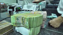 Nữ kế toán trường học trộm tiền Nhà nước