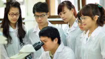 Học giỏi áp lực và bi kịch