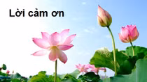 Gia đình đồng chí Phạm Hưng trân trọng cảm ơn