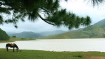 Ký ức Đankia - Suối Vàng