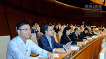 Quốc hội thông qua dự án Luật Lâm nghiệp 