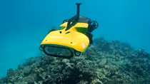 RangerBot: Robot diệt sao biển gai ăn thịt san hô