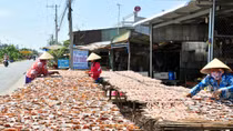 Làng nghề truyền thống ở ĐBSCL hối hả vào vụ Tết