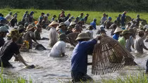 Hàng trăm người hò reo đánh cá cầu may ở Hà Tĩnh