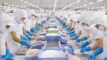 VASEP đề xuất 5 biện pháp khắc phục “thẻ vàng” IUU