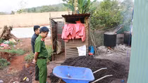 Trộn tạp chất vào hạt tiêu, bị phạt 45 triệu đồng