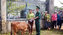 Khối thi đua số 9 tỉnh ĐắK Nông tặng học bổng và bò giống cho bà con nghèo