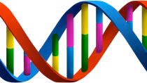 Những quan ngại xung quanh: Em bé biến đổi gene!