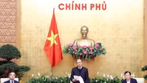 Đảm bảo an ninh lương thực vững chắc trong mọi tình huống